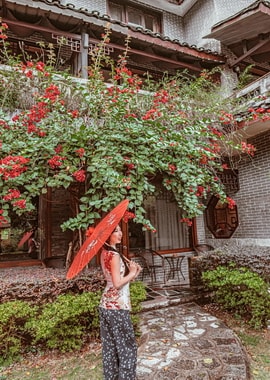 Huangyao courtyard